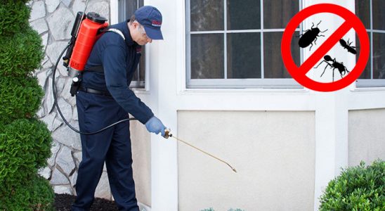 Hacılar Bit İlaçlama böcek ilaçlama ve haşere kontrolü — ilaclama-tr.com